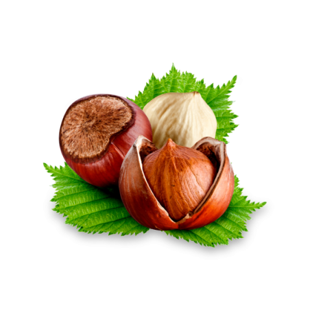 Hazelnuts In Shell From Norway